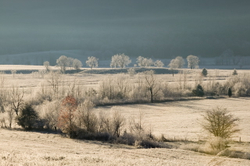 Cades Cove SMNP NC C2FS8#58